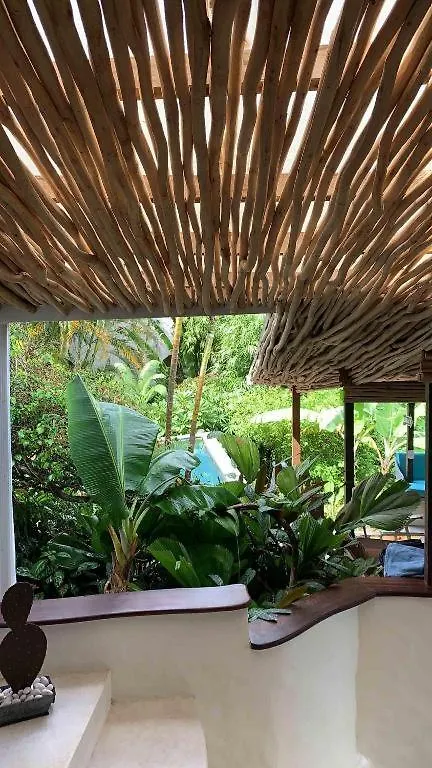 Bamboojam Villa Las Terrenas Hotel