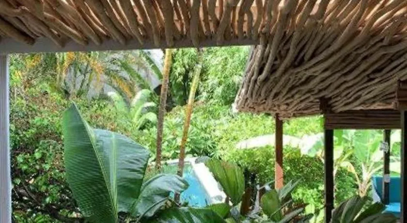 Hotel Bamboojam Villa Las Terrenas