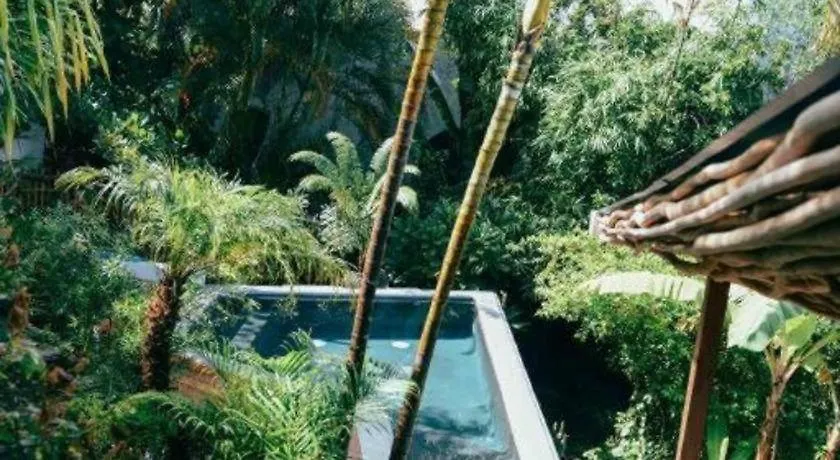 Bamboojam Villa Las Terrenas Hotel